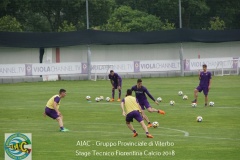 aiac_viterbo_stage_tecnico_fiorentina_calcio_201811