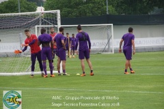 aiac_viterbo_stage_tecnico_fiorentina_calcio_201812
