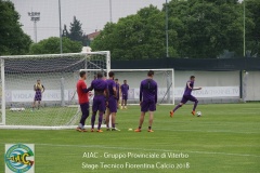 aiac_viterbo_stage_tecnico_fiorentina_calcio_201813