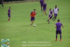 aiac_viterbo_stage_tecnico_fiorentina_calcio_201825