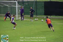 aiac_viterbo_stage_tecnico_fiorentina_calcio_201826