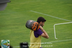 aiac_viterbo_stage_tecnico_fiorentina_calcio_20184