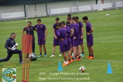 aiac_viterbo_stage_tecnico_fiorentina_calcio_20186